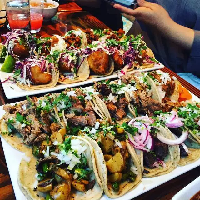 Tacolicious