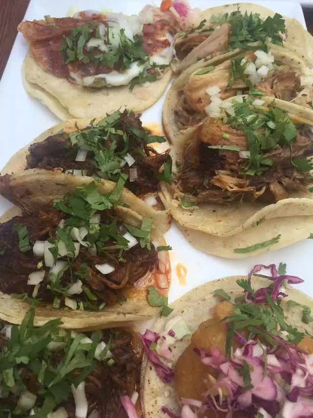 Tacolicious