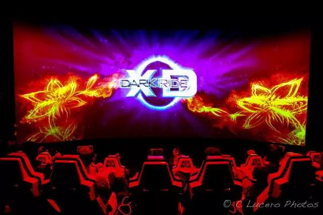 7D Experience