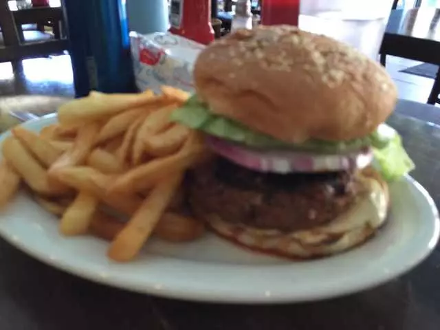 Gyro Xpress