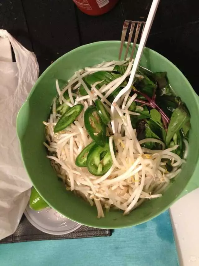 Sunflower Vietnamese
