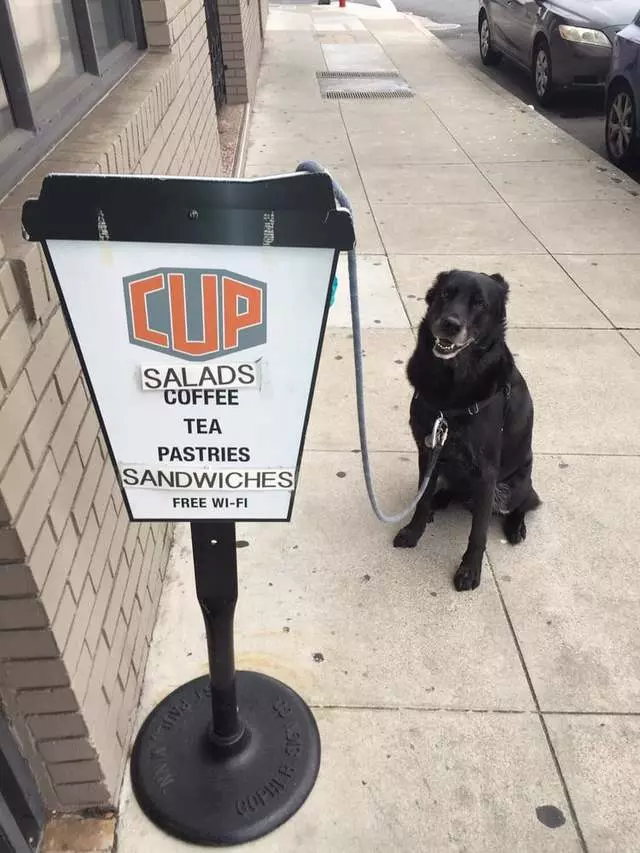 Cup Cafe