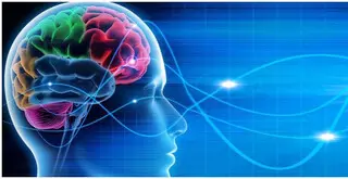 Biofeedback Institute of San Francisco