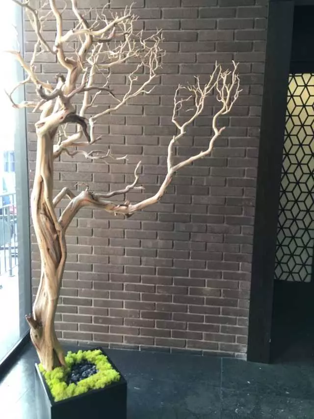 Hakkasan