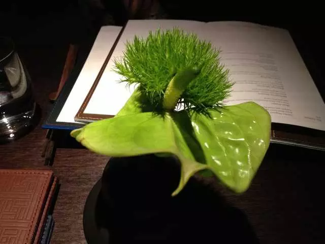 Hakkasan