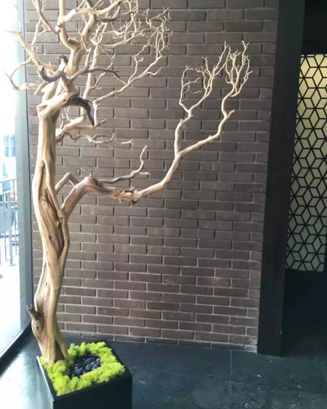 Hakkasan