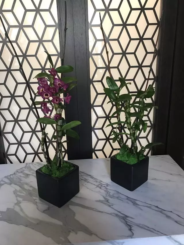 Hakkasan