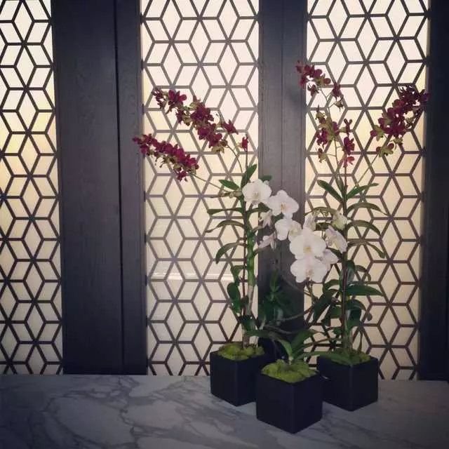 Hakkasan