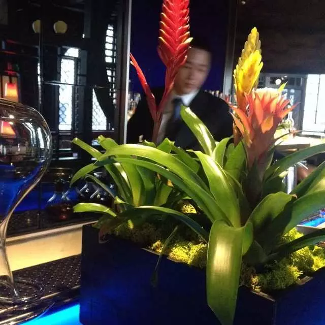 Hakkasan