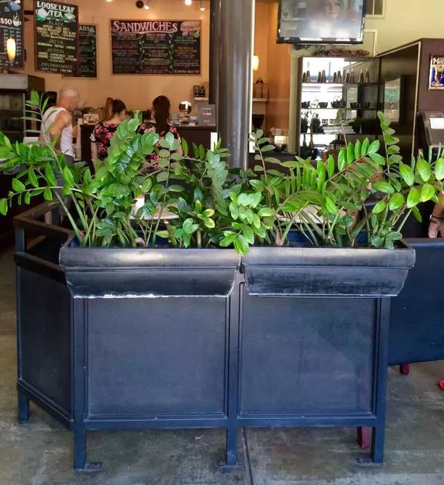 Temo Cafe