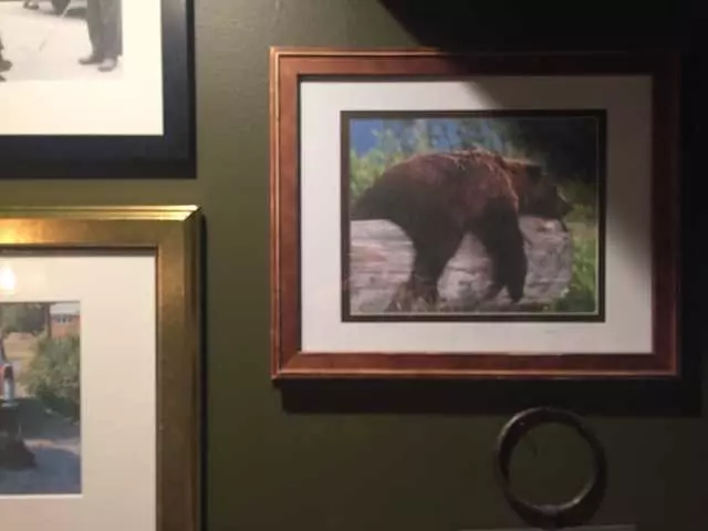 Lazy Bear