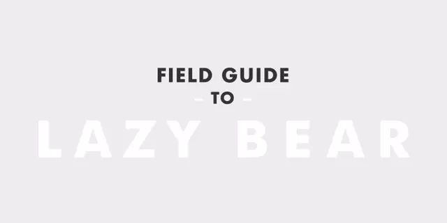 Lazy Bear