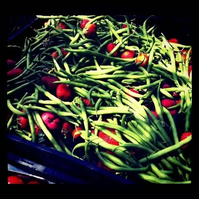 Alemany Farm
