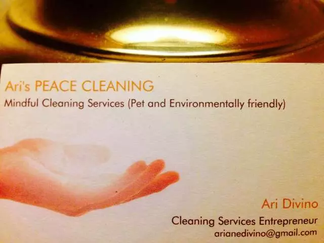Ari’s Peace Cleaning/Personal Assistant Services