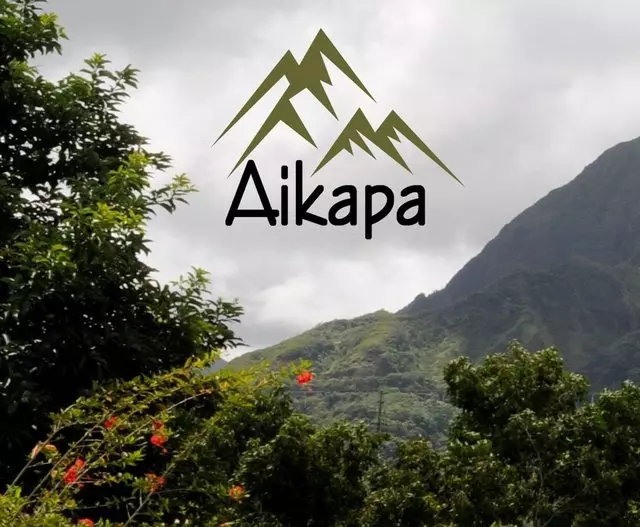 Aikapa Wealth Planning & Management