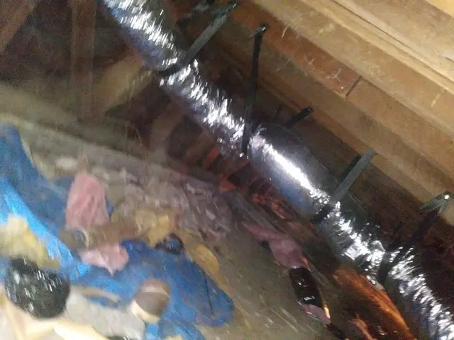 Attic Fix Pro