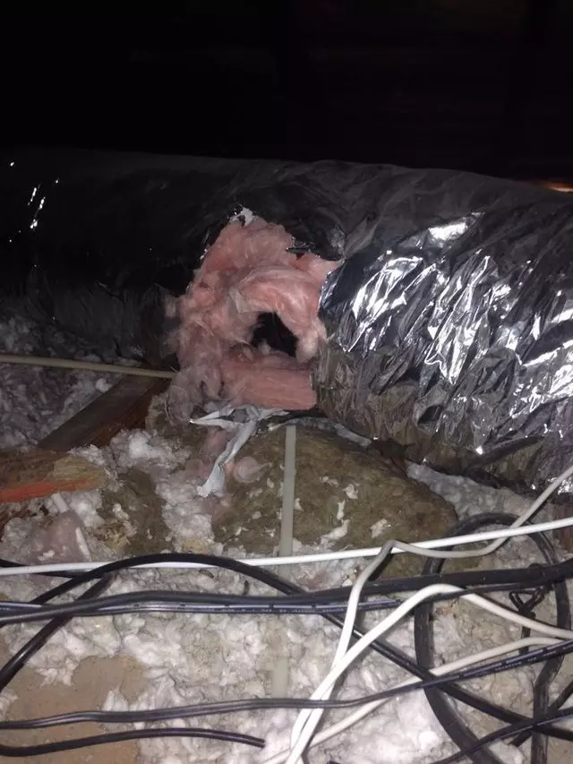 Attic Fix Pro