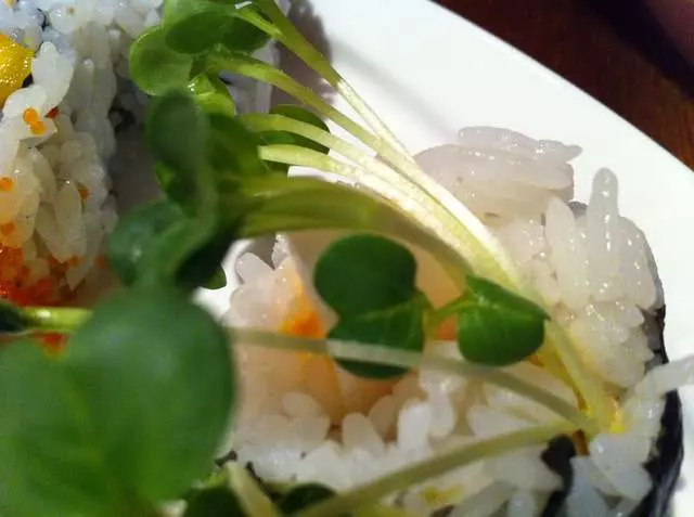Sushi Time