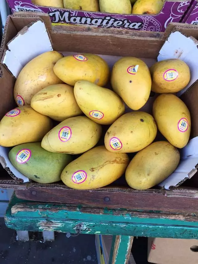 23rd & Mission Produce