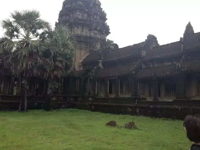 Allara Travel