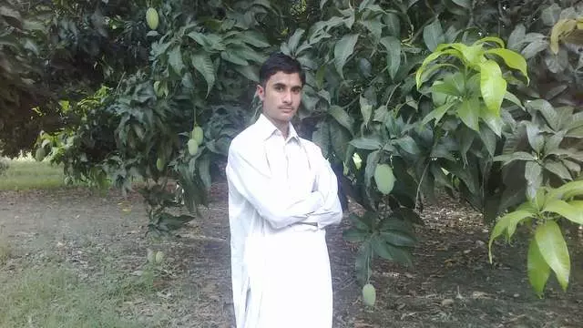 Adnan Dani
