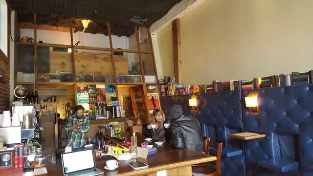 The Social Study