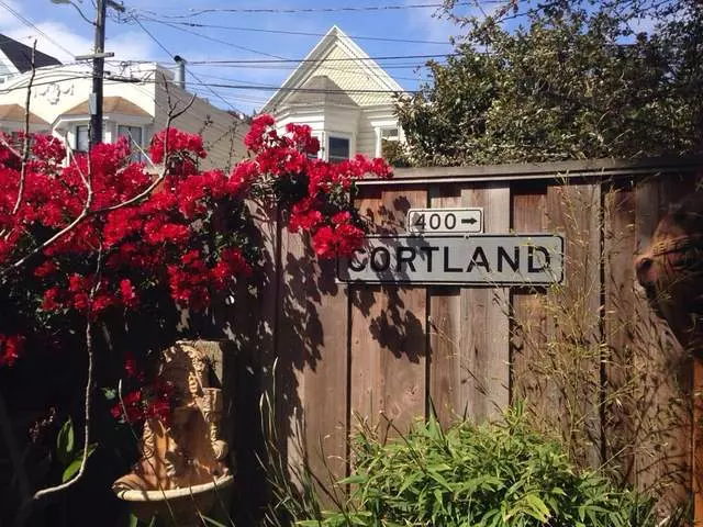 Progressive Grounds
