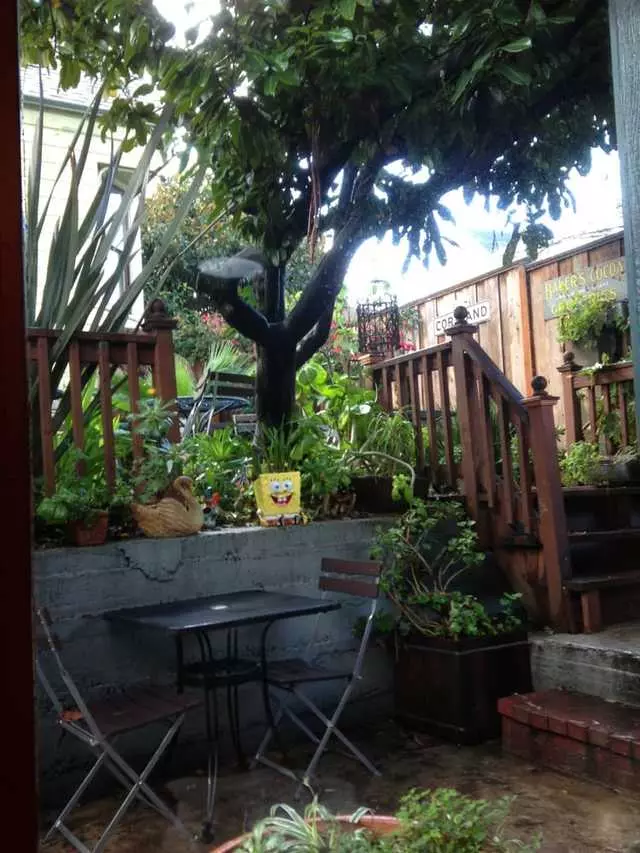 Progressive Grounds