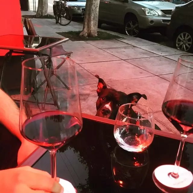 InoVino