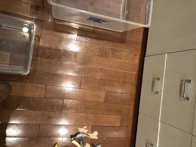 24 SF Handyman