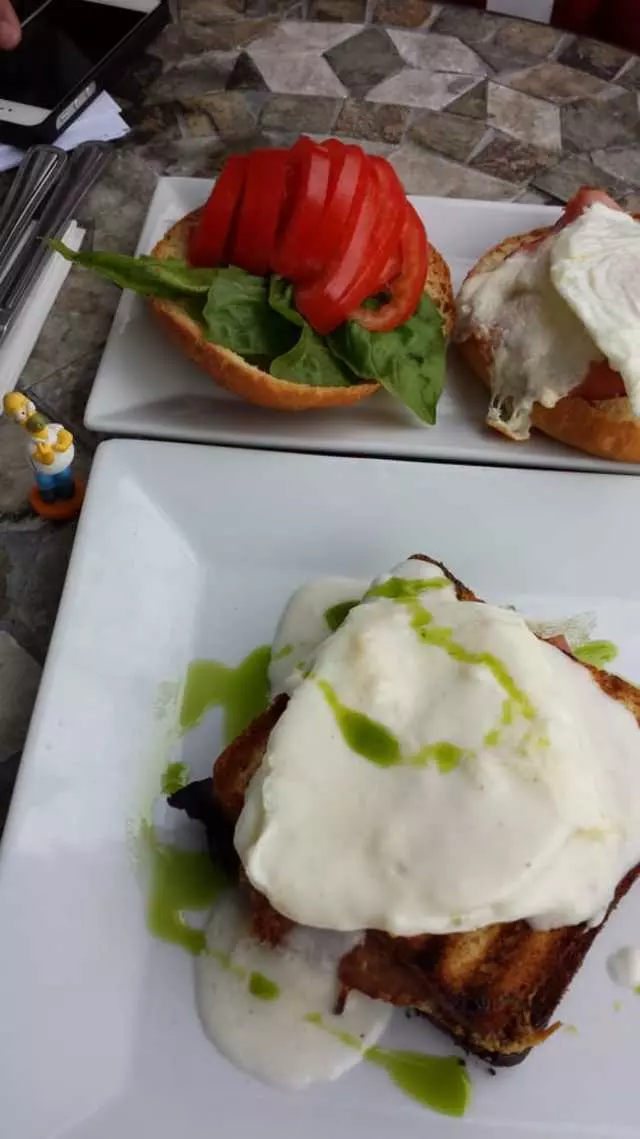The Blue Fig