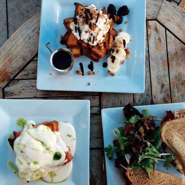The Blue Fig