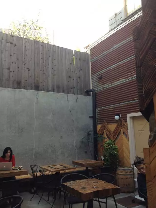 The Blue Fig