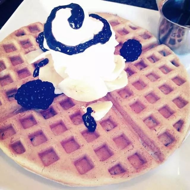 The Blue Fig