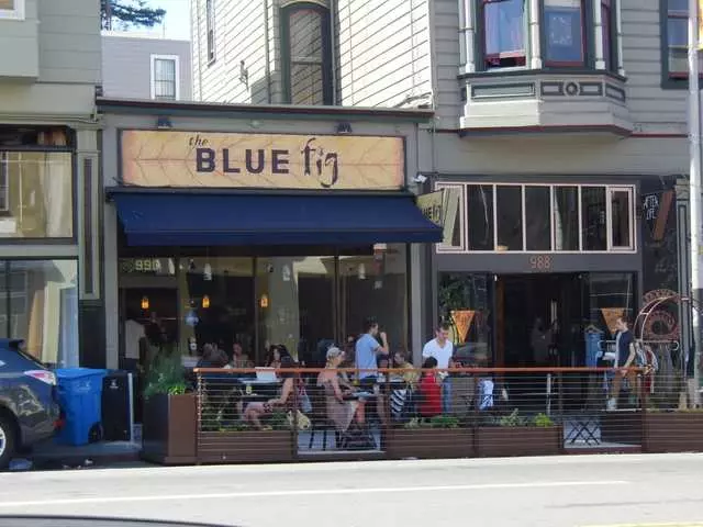 The Blue Fig