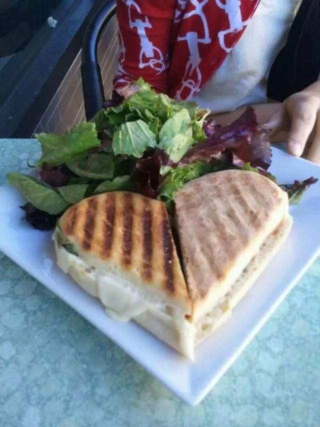The Blue Fig