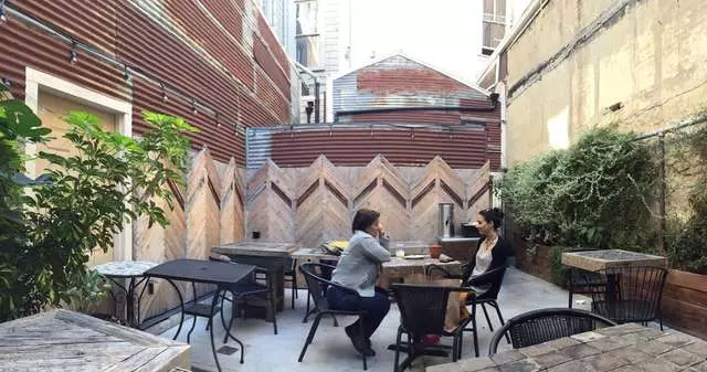The Blue Fig