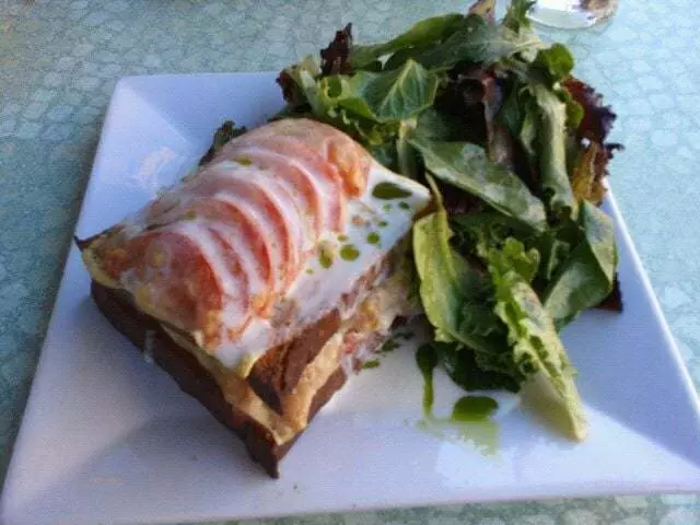 The Blue Fig