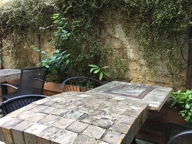 The Blue Fig