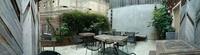 The Blue Fig