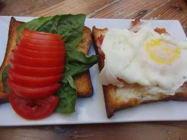 The Blue Fig