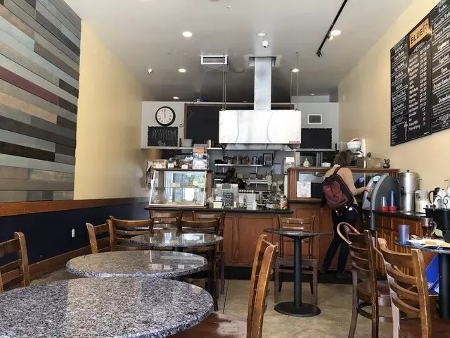 The Blue Fig