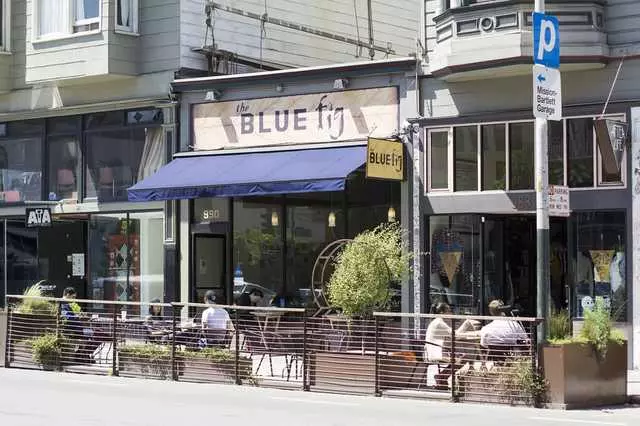 The Blue Fig