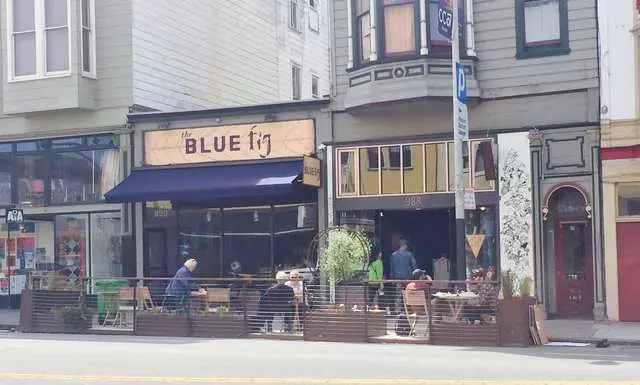 The Blue Fig