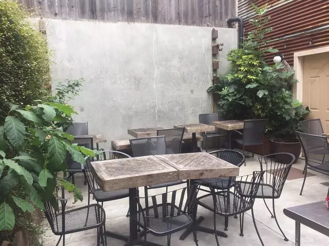 The Blue Fig