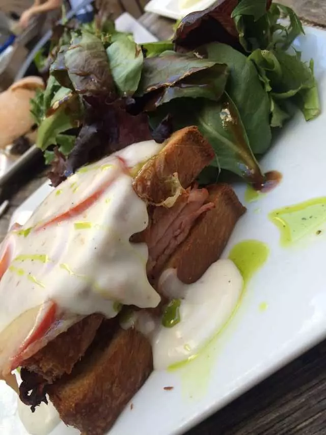 The Blue Fig