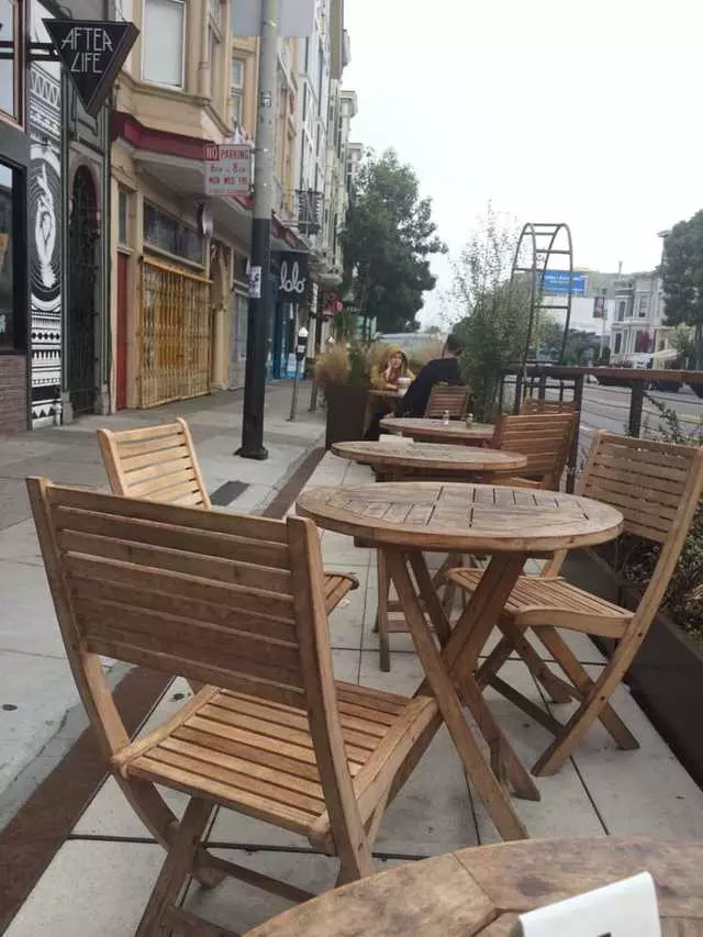 The Blue Fig