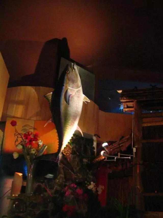 Warakubune Sushi