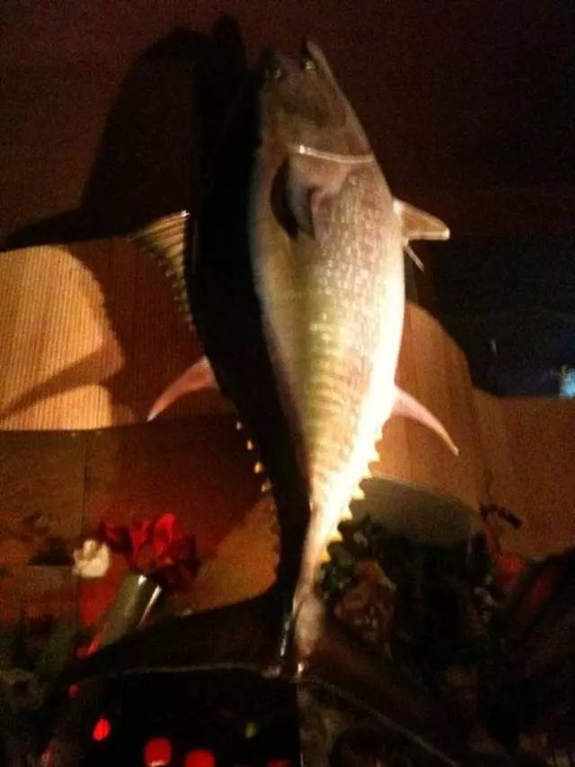 Warakubune Sushi