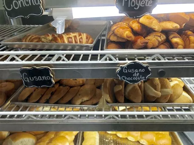 Universal Bakery